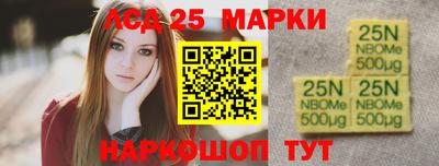 стаф Сланцы
