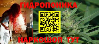 стаф Сланцы