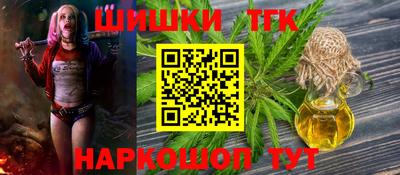 стаф Сланцы