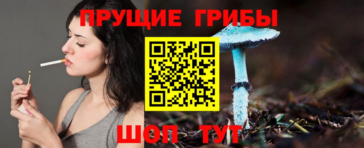 Галлюциногенные грибы Psilocybine cubensis Отрадный