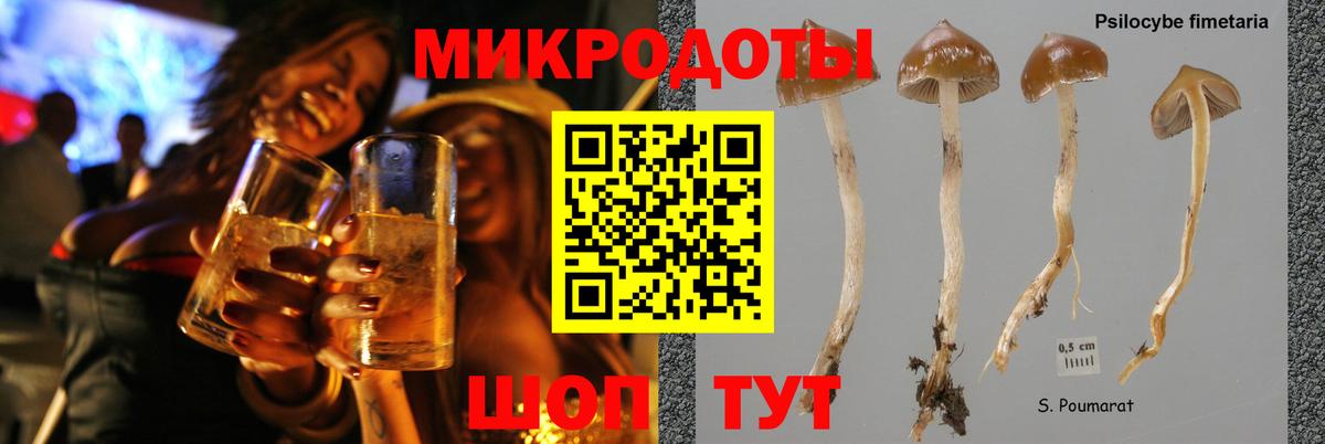 Отрадный  Псилоцибиновые грибы мицелий  Вход с VPN 